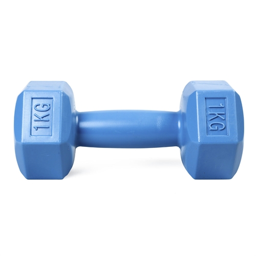 ASG Hantel – 1 kg
