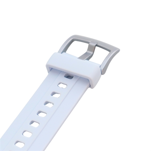 NSW Smart Watch