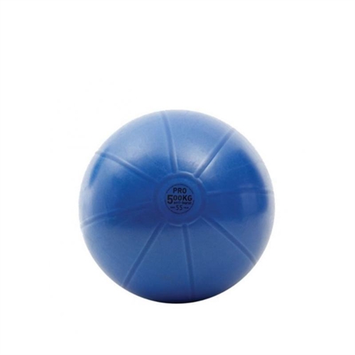 TOORX Antiburst Träningsboll - 55 cm