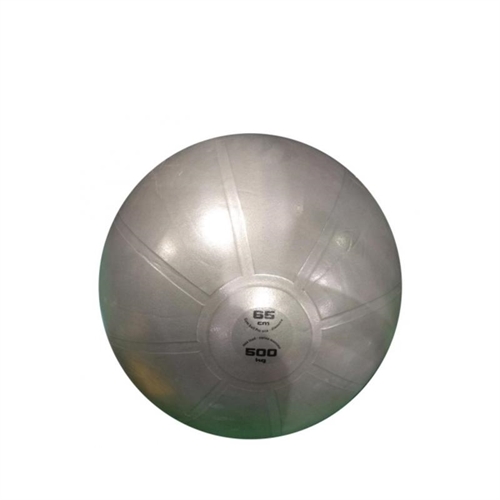 Toorx ABS Träningsboll - 65 cm