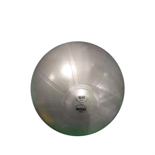 TOORX ABS Träningsboll - 65 cm